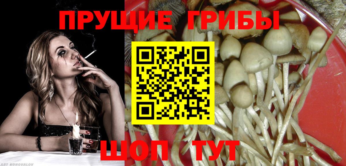 Пыть-Ях  Псилоцибиновые грибы MAGIC MUSHROOMS  где продают наркотики  Вход с VPN  Галлюциногенные грибы Psilocybine cubensis 